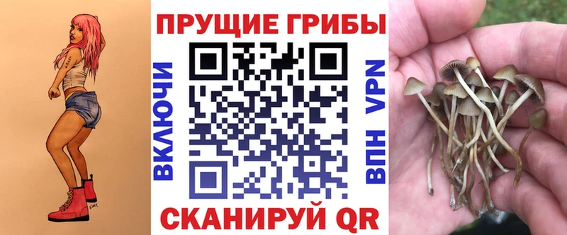 где найти   нарко площадка телеграм  Псилоцибиновые грибы мухоморы  Порхов 